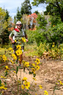 Christopher Adams #133 running past late season wildflowers