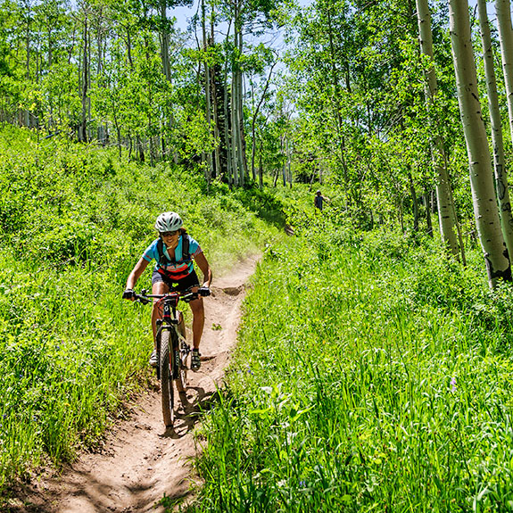 Angelica-Crest trail