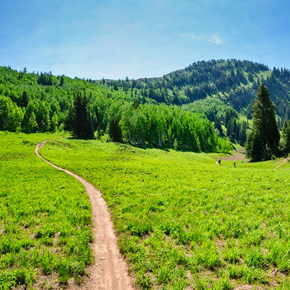 Desolation Lake trail