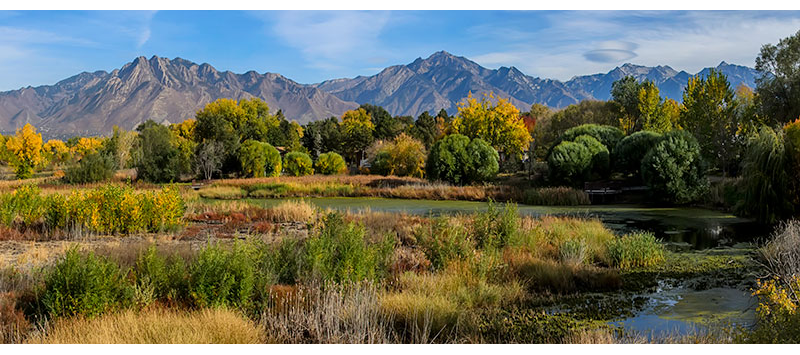 parkway-pond