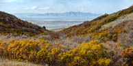 Antelope Island