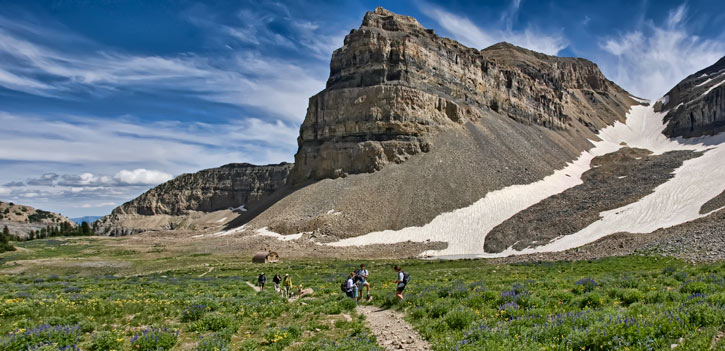 snowfield-pano