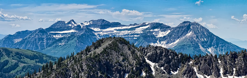 dry-timp