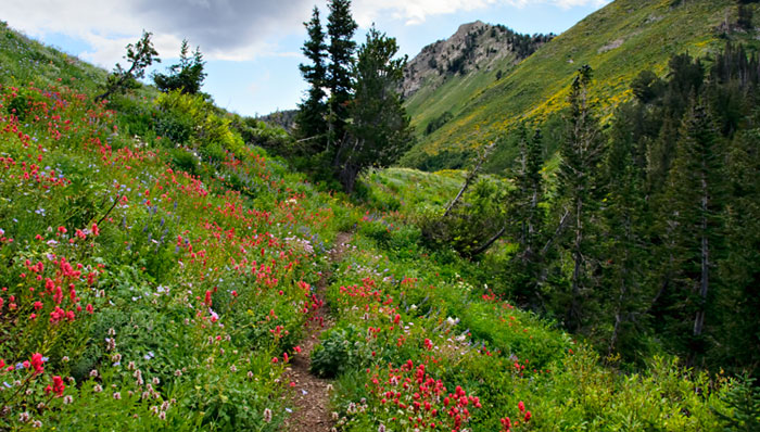 saddle pass