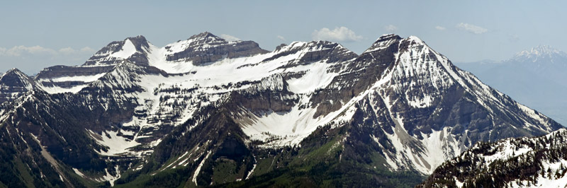 timp