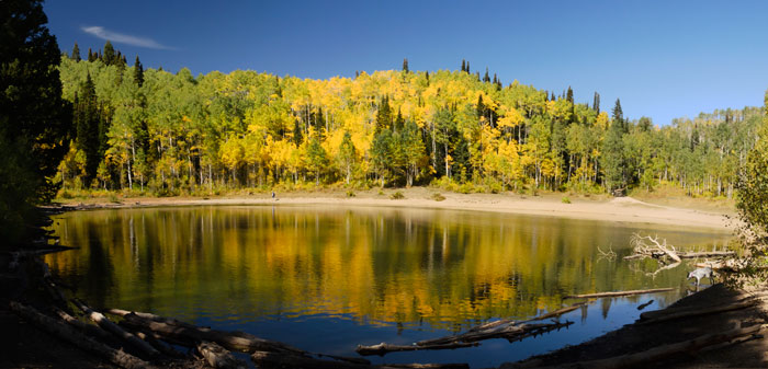 dog-lake-pano