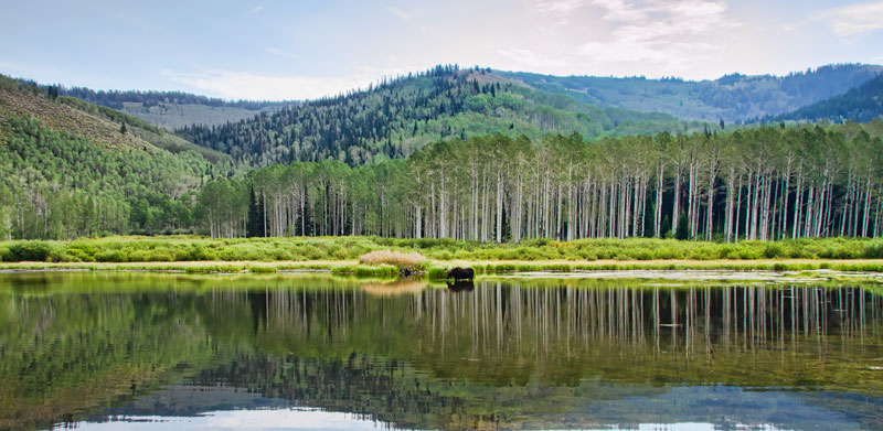 pond-pano