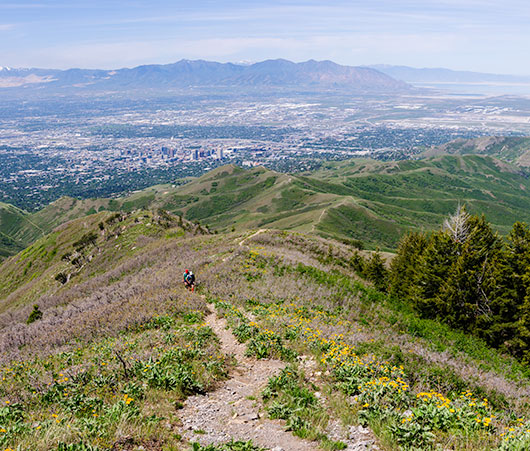 trail-view