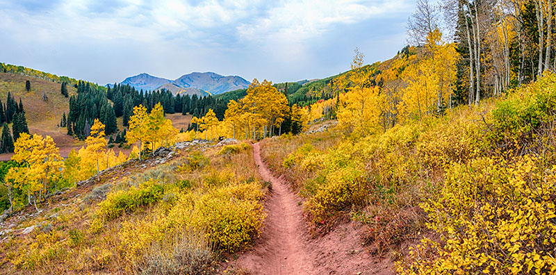 desolation-trail