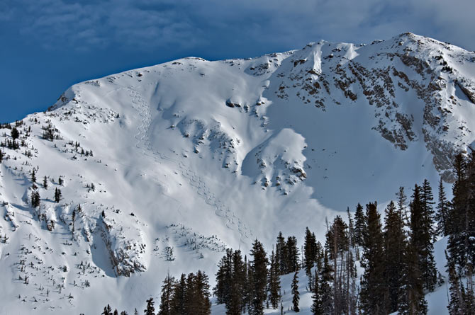 red-baldy