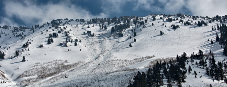 gobblers-pano