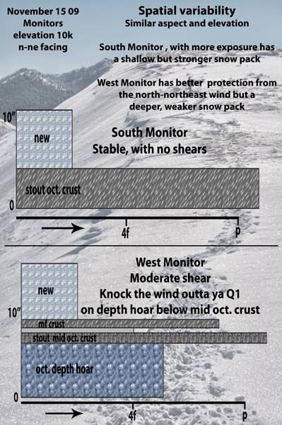 monitors-snow-pit