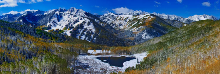 willow-beaver-pond