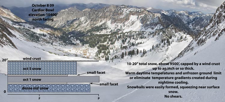 cardiac-bowl-snow-profile