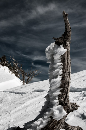 weathered