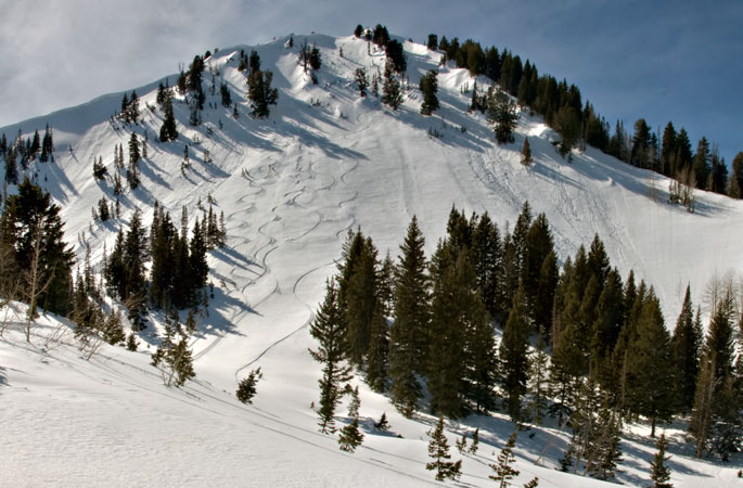 wilson-chutes