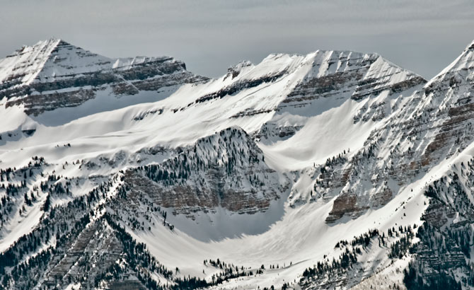 timp-basin