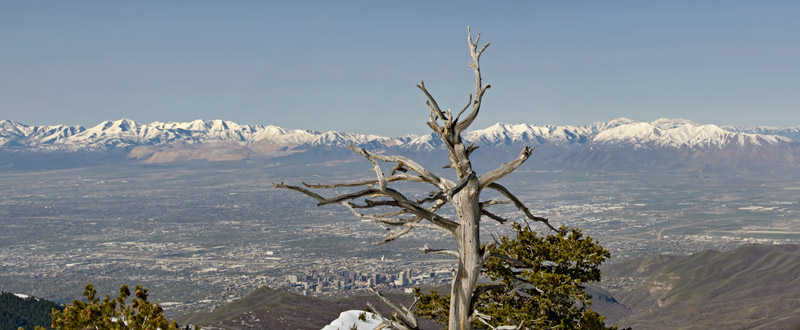 rio-tinto-view