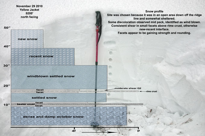 yellow-jacket-snow-profile