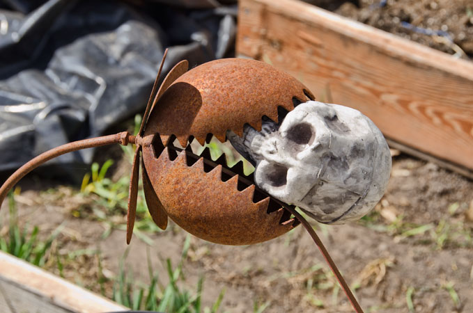 rusty-catcher