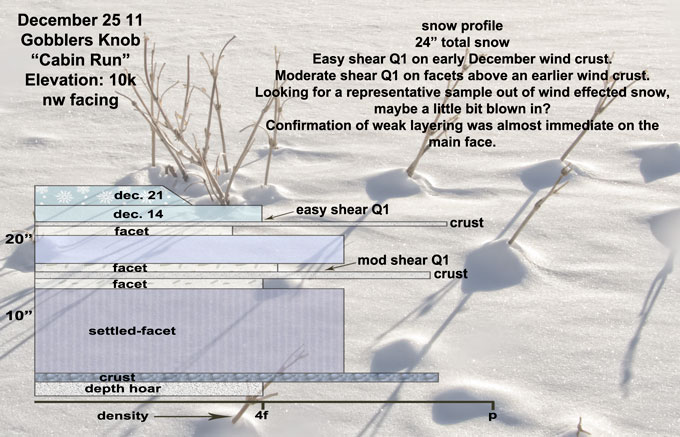 cabin-run-swow-profile