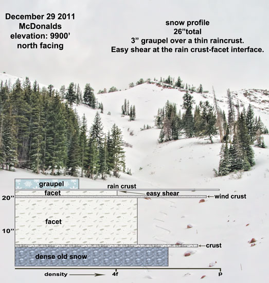 mcdonalds-snow-profile