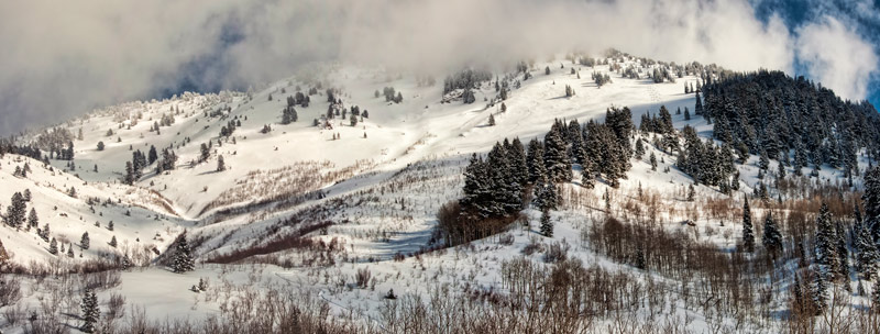 gobblers-pano