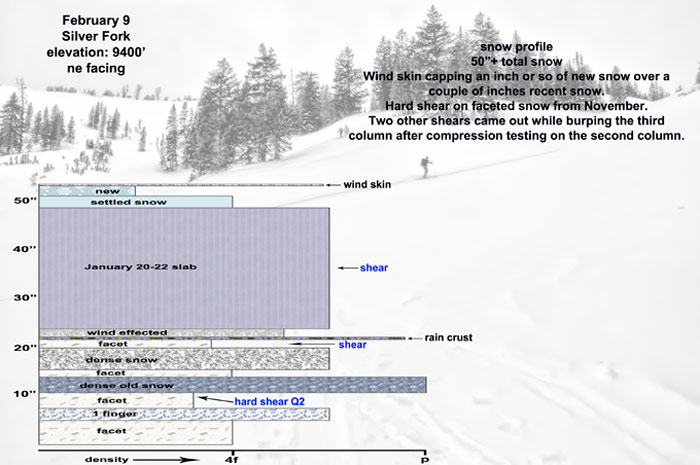 silver-fork-snow-profile