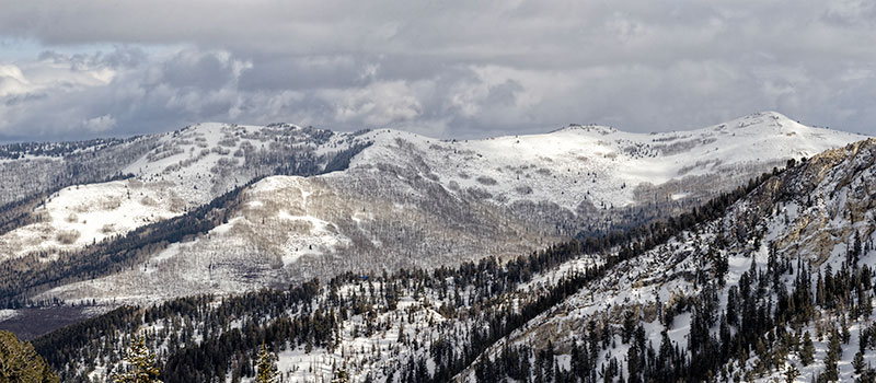 usa-pano