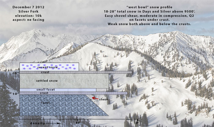 wbowl-silver-snow-profile