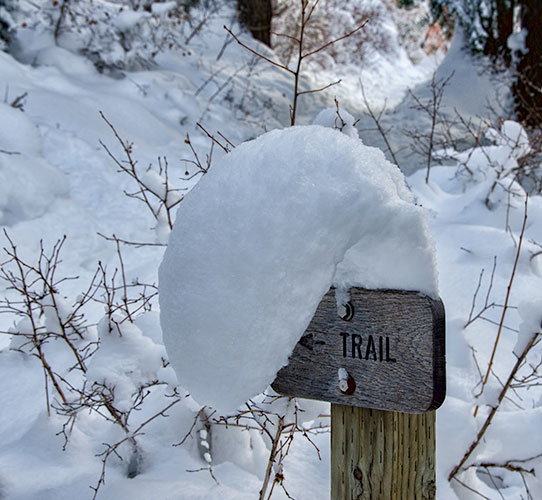 trail-creep