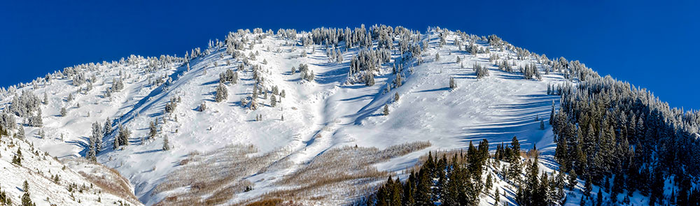 gobblers-pano