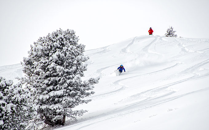 wbowl-skier