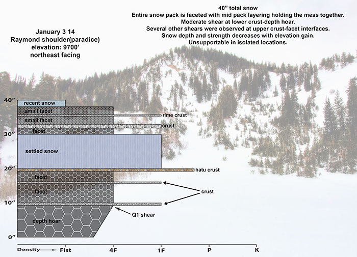 paradice-snow-profile