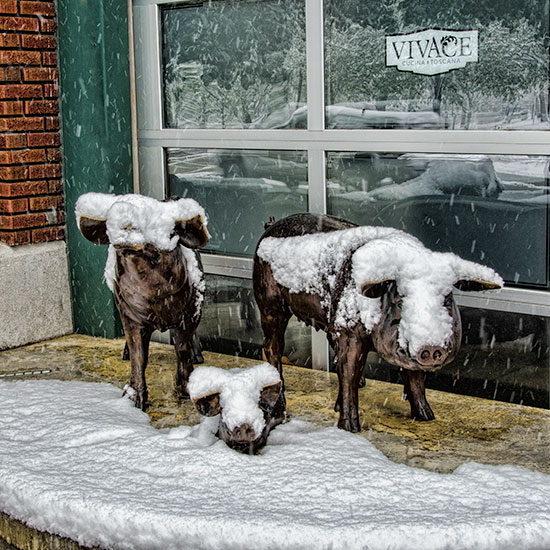 three-pigs