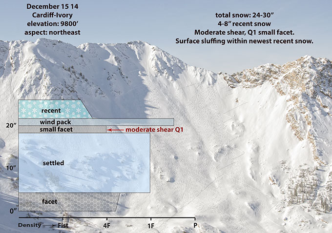 ivory-snow-profile