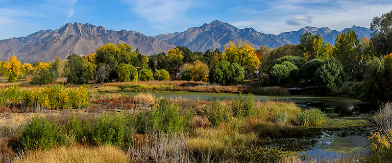 parkway-pond