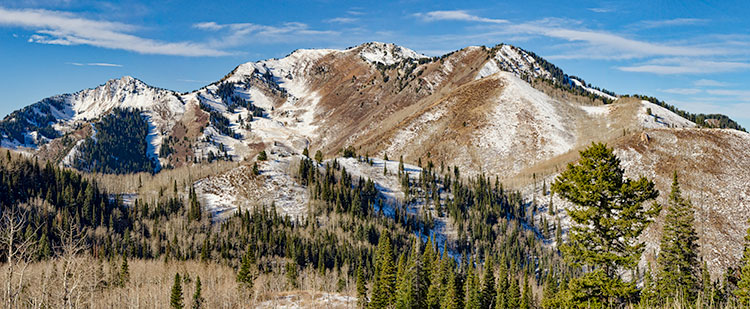 butler-basin