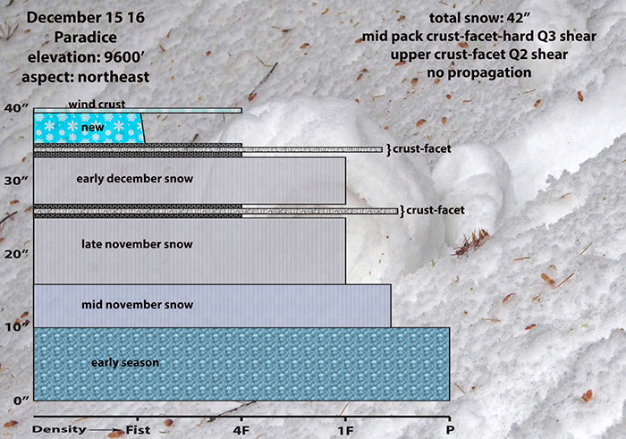 paradice-snow-profile