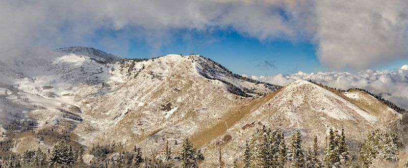 buitler-basin