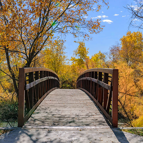 bridges