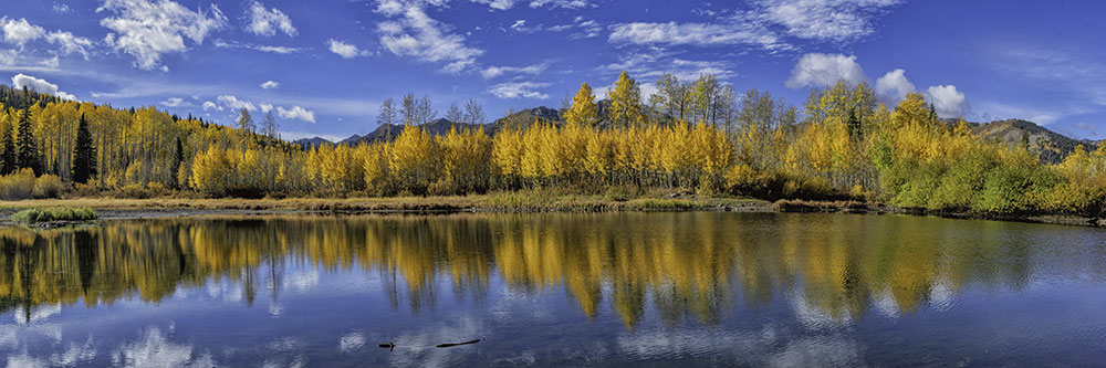 pond-reflection