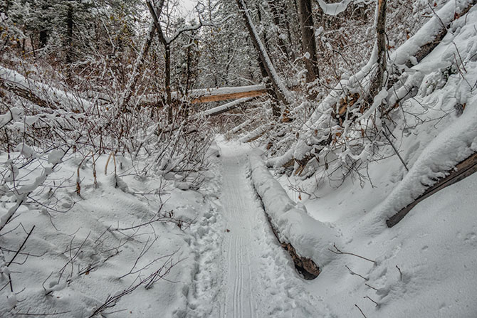 bowman trail