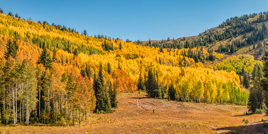 desolation lake trail