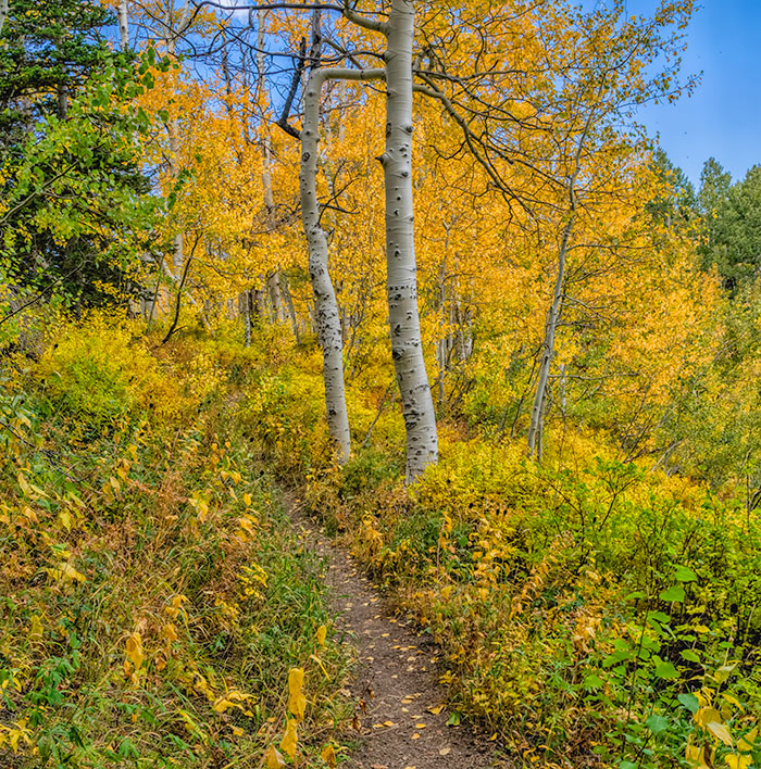 desolation trail1