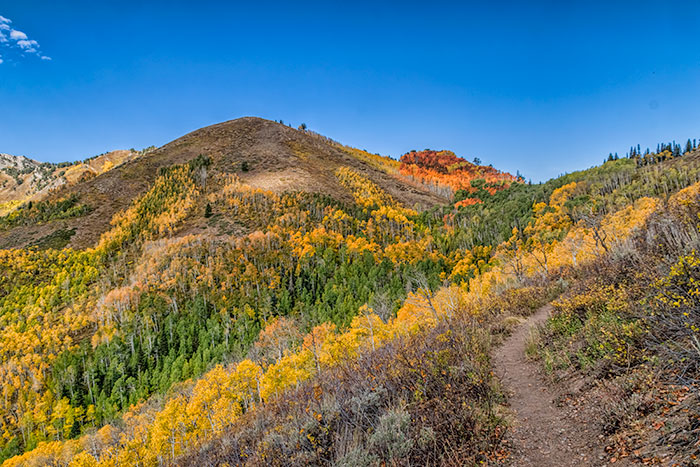 desolation trail2