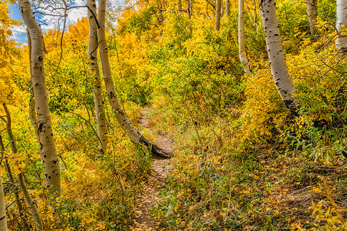 desolation trail4