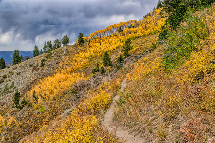 desolation trail5