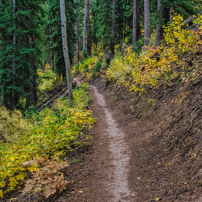 pipeline-trail