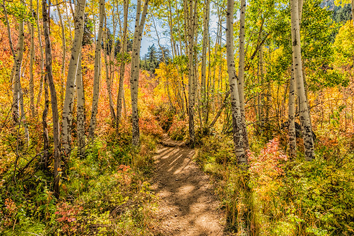 mill b south trail